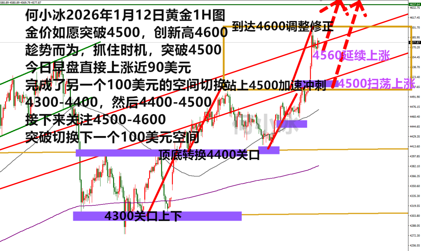 何小冰：金价创新高4601，还涨吗？