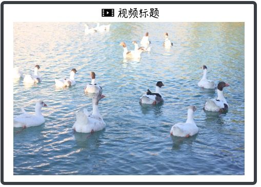 北大“码农”如何变身全球顶级交易员？｜对话袁骏第一集